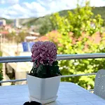 Trea - Lungomare