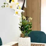 Trea - Lungomare Apartment Vlore